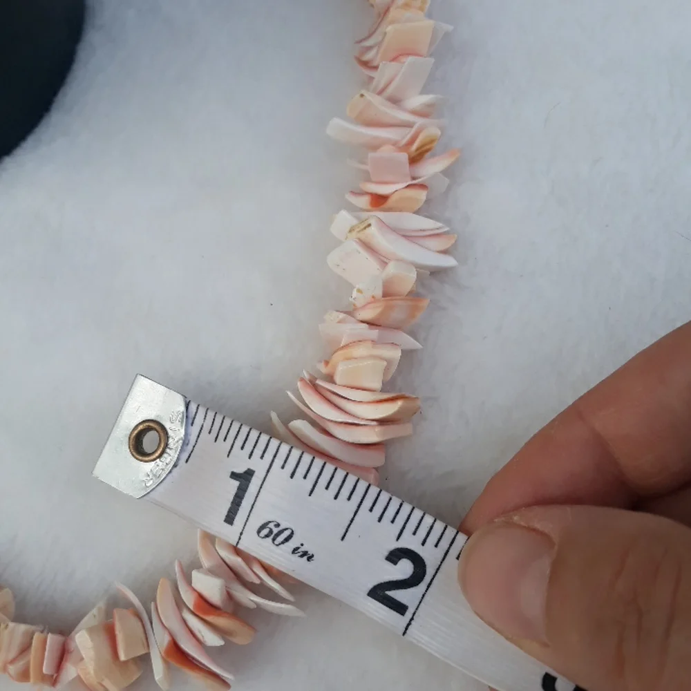 Creamsicle and white colored chunky seashell necklace 18 inches long - Picture 11 of 12